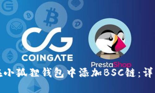 如何在小狐狸钱包中添加BSC链:详细指南