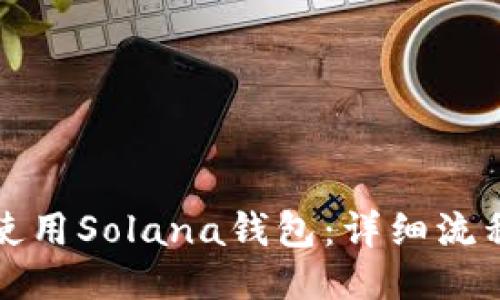 如何下载并使用Solana钱包：详细流程与使用指南