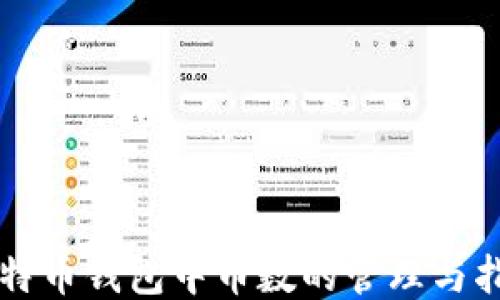 
比特币钱包中币数的管理与指南