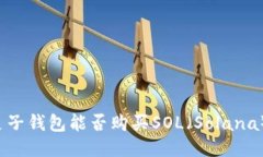 麦子钱包能否购买SOL（S