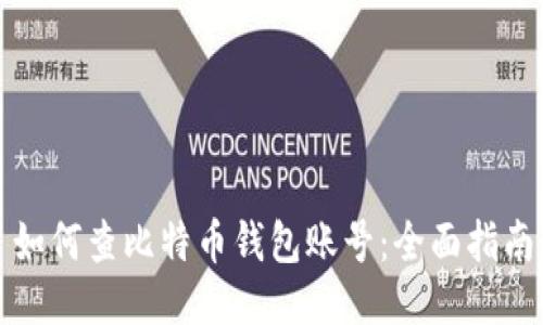 如何查比特币钱包账号:全面指南