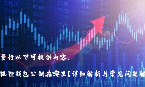 矢量行以下可提供内容。
小狐狸钱包公钥在哪里?详细解析与常见问题解答