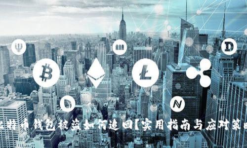 比特币钱包被盗如何追回?实用指南与应对策略