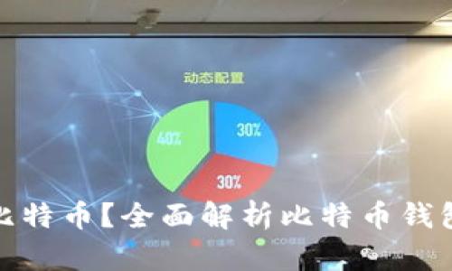 什么钱包里有比特币?全面解析比特币钱包的类型与选择