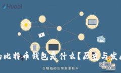 最早的比特币钱包是什么