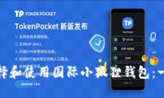 : 如何选择和使用国际小狐