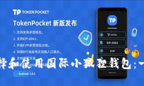 : 如何选择和使用国际小狐狸钱包：一站式指南