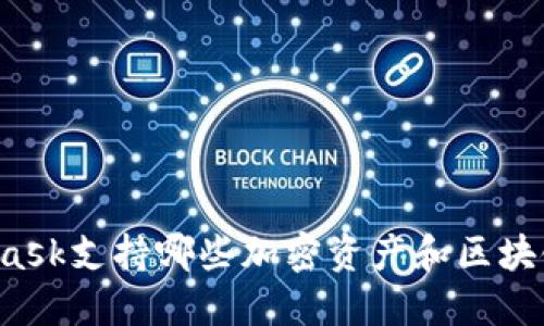 MetaMask支持哪些加密资产和区块链平台?