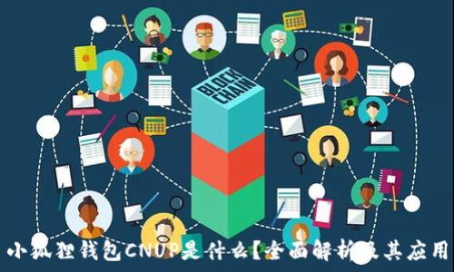 小狐狸钱包CNUP是什么?全面解析及其应用