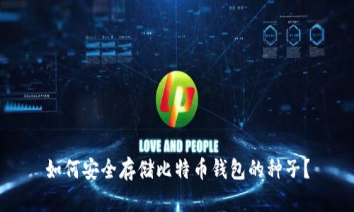 如何安全存储比特币钱包的种子？