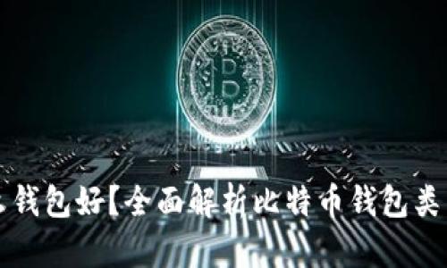 比特币用什么钱包好?全面解析比特币钱包类型与选择指南