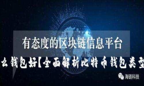 比特币用什么钱包好?全面解析比特币钱包类型与选择指南