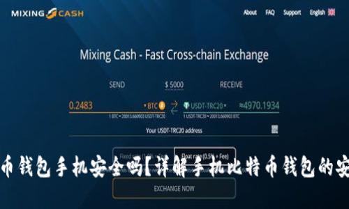 比特币钱包手机安全吗？详解手机比特币钱包的安全性