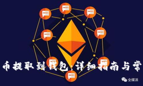如何将XLM币提取到钱包:详细指南与常见问题解答