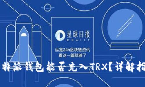 比特派钱包能否充入TRX？详解指南