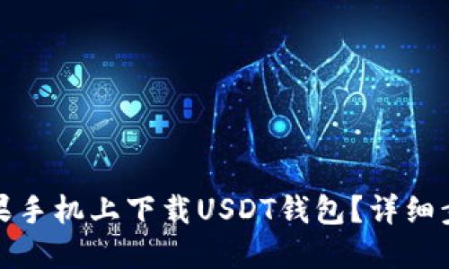 和关键词

如何在苹果手机上下载USDT钱包？详细步骤与推荐