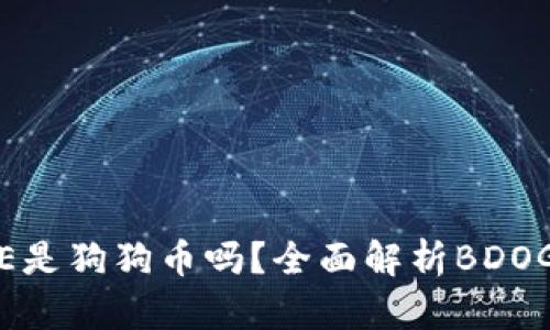 钱包里面的BDOGE是狗狗币吗?全面解析BDOGE与狗狗币的关系
