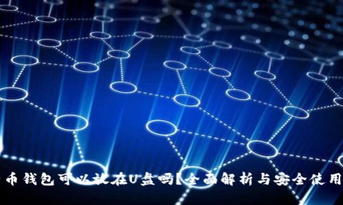比特币钱包可以放在U盘吗？全面解析与安全使用指南