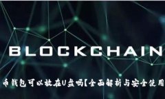 比特币钱包可以放在U盘吗