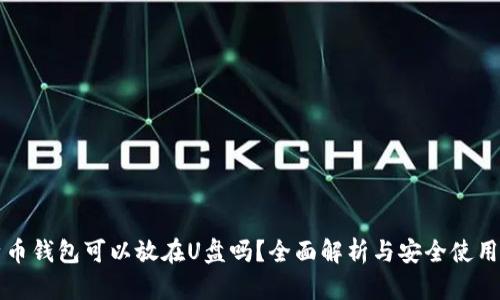 比特币钱包可以放在U盘吗？全面解析与安全使用指南