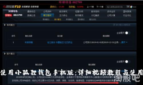 如何使用小狐狸钱包手机版:详细视频教程与使用技巧