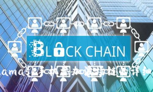 Metamask手机添加波场链的详细指南