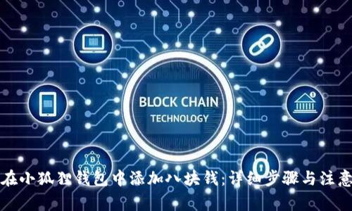如何在小狐狸钱包中添加八块钱：详细步骤与注意事项