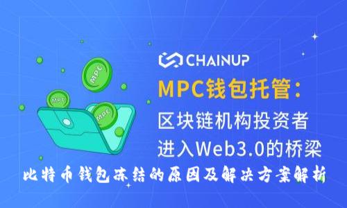 比特币钱包冻结的原因及解决方案解析