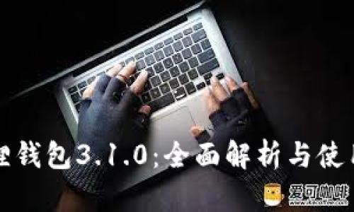 小狐狸钱包3.1.0:全面解析与使用指南
