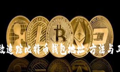 如何有效追踪比特币钱包地址：方法与工具详解
