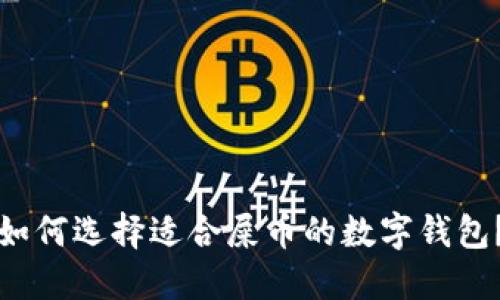 如何选择适合屎币的数字钱包？