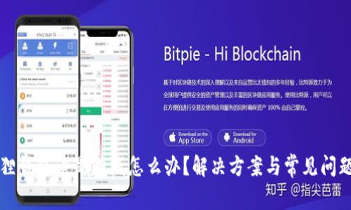 小狐狸钱包老是断线怎么办?解决方案与常见问题解析