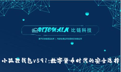 小狐狸钱包v591：数字货币时代的安全选择