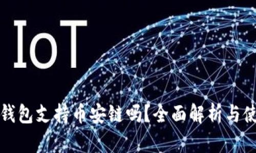 小狐狸钱包支持币安链吗?全面解析与使用指南