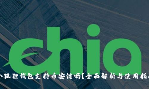 小狐狸钱包支持币安链吗?全面解析与使用指南