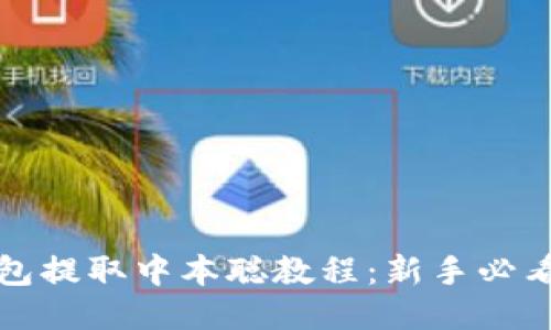 小狐狸钱包提取中本聪教程:新手必看详细指南