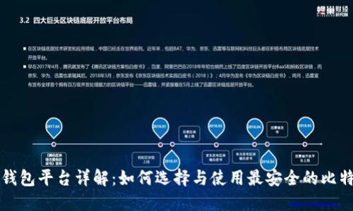 比特币钱包平台详解:如何选择与使用最安全的比特币钱包