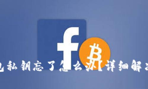 : 小狐狸钱包私钥忘了怎么办?详细解决方案与建议