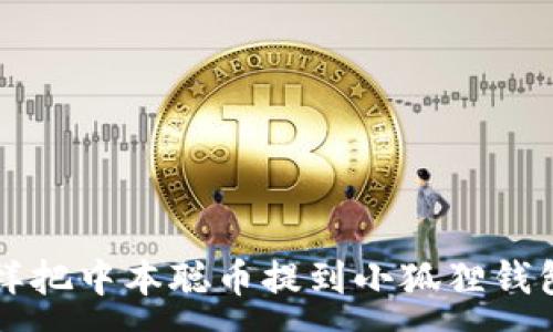 :
怎样把中本聪币提到小狐狸钱包里