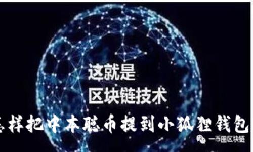 :
怎样把中本聪币提到小狐狸钱包里