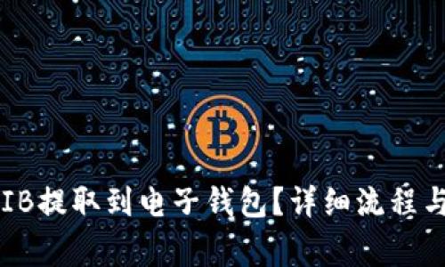 如何将SHIB提取到电子钱包?详细流程与注意事项