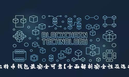 哪种比特币钱包最安全可靠？全面解析安全性及选择指南