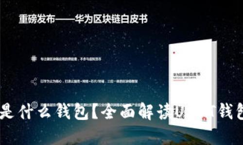 USDT使用的是什么钱包？全面解读USDT钱包种类与选择