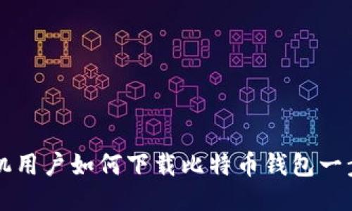 华为手机用户如何下载比特币钱包一步步指南