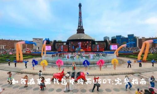 如何在苹果钱包中购买USDT：完整指南