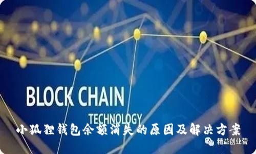 小狐狸钱包余额消失的原因及解决方案