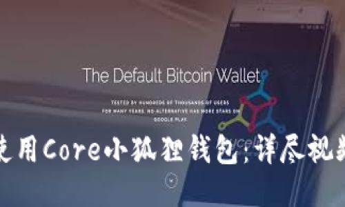 如何使用Core小狐狸钱包:详尽视频教程