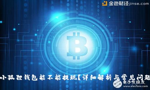 小狐狸钱包能不能提现?详细解析与常见问题