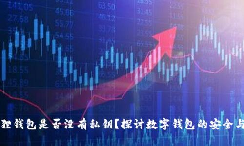 小狐狸钱包是否没有私钥？探讨数字钱包的安全与使用