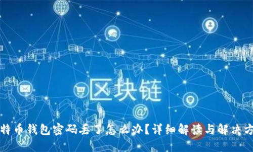 比特币钱包密码丢了怎么办？详细解读与解决方案